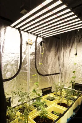 フルスペクトル水耕栽培屋内植物用ランプバー防水 2019 成長電球量子誘導 LED 成長ライト